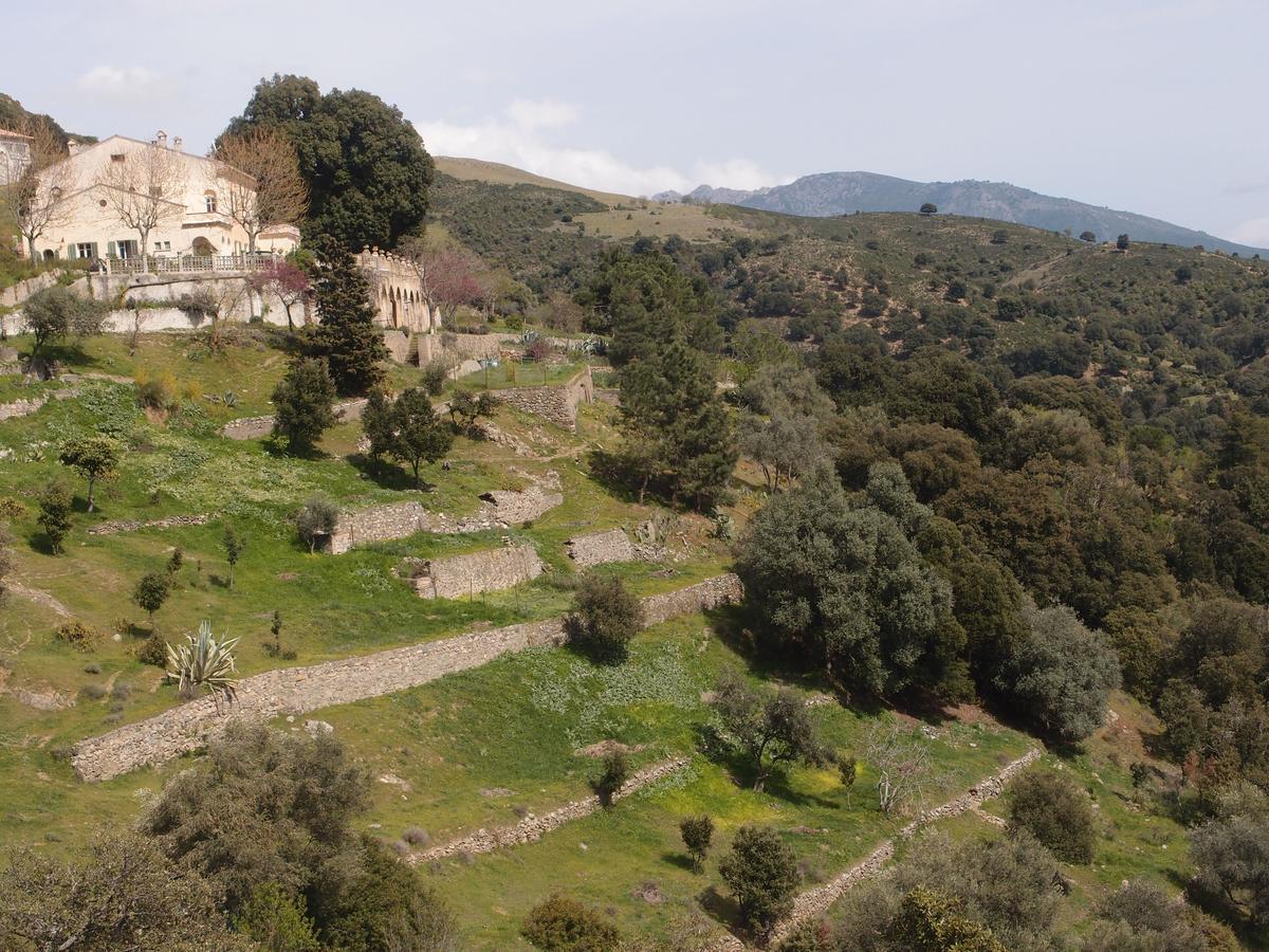 Bed and Breakfast La Ventulella Moltifao Экстерьер фото
